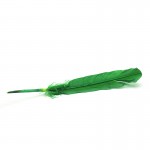 Smudging Feather 10-12 in Green - 1