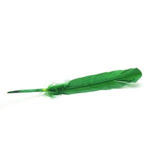 Smudging Feather 10-12 in Green - 1 Smudging Feather 10-12 in Green - 1