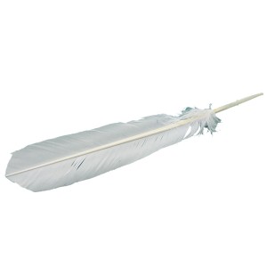 Smudging Feather 10-12 in White - 1 Smudging Feather 10-12 in White - 1