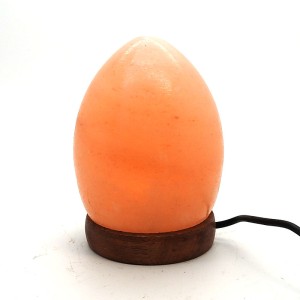 Natural Himalayan (USB) Salt Lamp (Egg Shape) (H:11 x W:8cm)