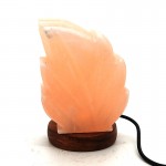 Salt Leaf USB Lamp