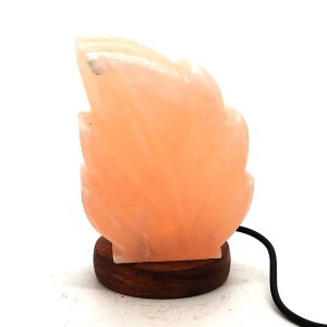 Natural Himalayan (USB) Salt Lamp (Leaf Shape)