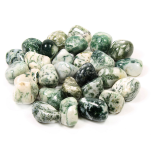 Agate Tree Indian T/Stone 20-30mm(500g)
