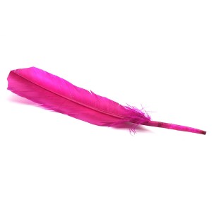 Smudging Feather 10-12 in Pink - 1 Smudging Feather 10-12 in Pink - 1