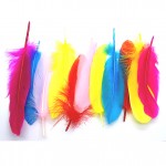 Smudging Feather 6-8 in Multi - 12 Pcs