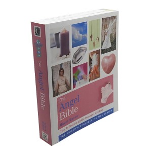 The Angel Bible By Hazel Raven (Special Offer)
