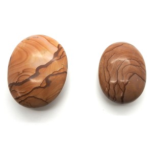 Picture Jasper Palm Stone (Large) - 1 Pcs