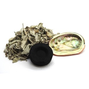 Abalone Shell 3in Charcoal & White Sage Loose