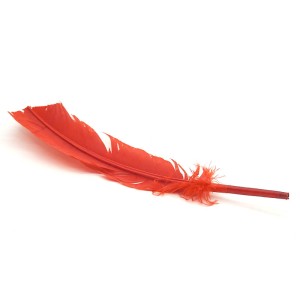Smudging Feather 10-12 in Red - 1 Smudging Feather 10-12 in Red - 1