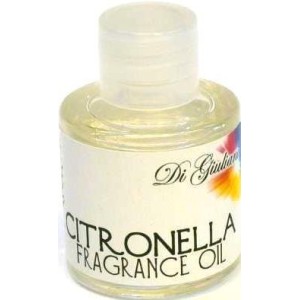 Citronella Fragrance Oil - 12 Pcs