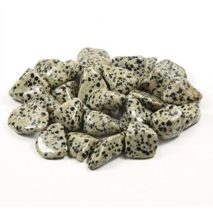 Dalmation Jasper Tumbled 20-30mm (500g)