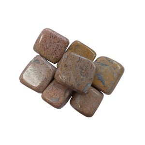 Fossil Coral Tumbled Stone 40-50mm (250g)