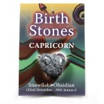 Birthstone Capricorn (Snowflake Obsidian)