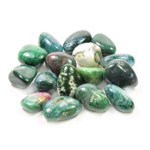 Moss Agate Tumbled Stone 20-30mm (500g)