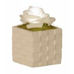White Rose with Light in Box 8187-1 Pc