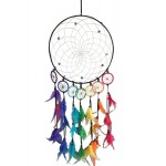 Dream Catcher Rainbow Chakra Feather H:60 x W:25cm 4004 - 1