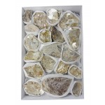 Muscovite Mica Rough Stone Box - Small