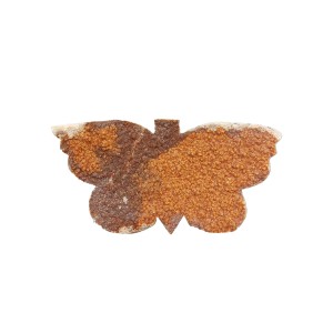 Citrine Cluster Butterfly Wings H11: x W:20cm W:1184g (Brazil)