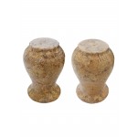 Fossil Coral Hand Carved Salt & Pepper Set (Special)