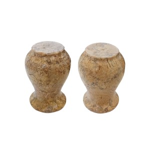 Fossil Coral Hand Carved Salt & Pepper Set (Special) Fossil Coral Hand Carved Salt & Pepper Set (Special)