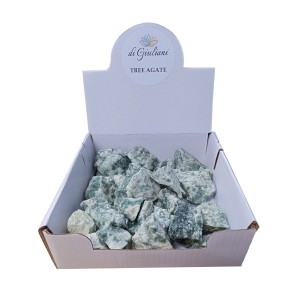 Tree Agate Rough Counter Display Box (1 Kg)