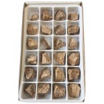 Aragonite Peru Rough Stone Box -24 Pcs