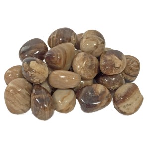 Aragonite Tumbled Stone 20-30mm (250g) Aragonite Tumbled Stone 20-30mm (250g)