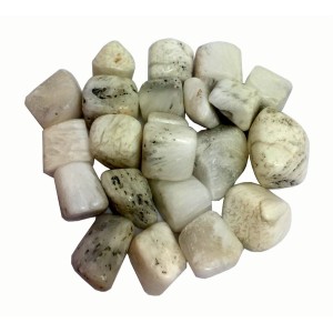 Scholosite Tumbled Stone 20-30mm (250g)