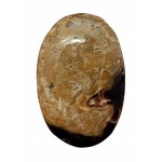Calcite Chocolate (Brown Aragonite) Palmstone 50mm - 1 Pcs