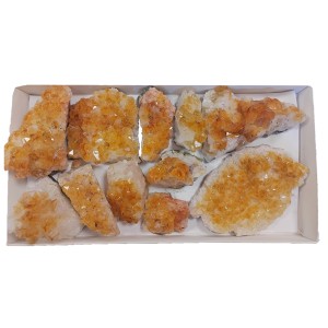Citrine Druze Cluster Wt: 1004g (5 Pcs Tray) A-Grade